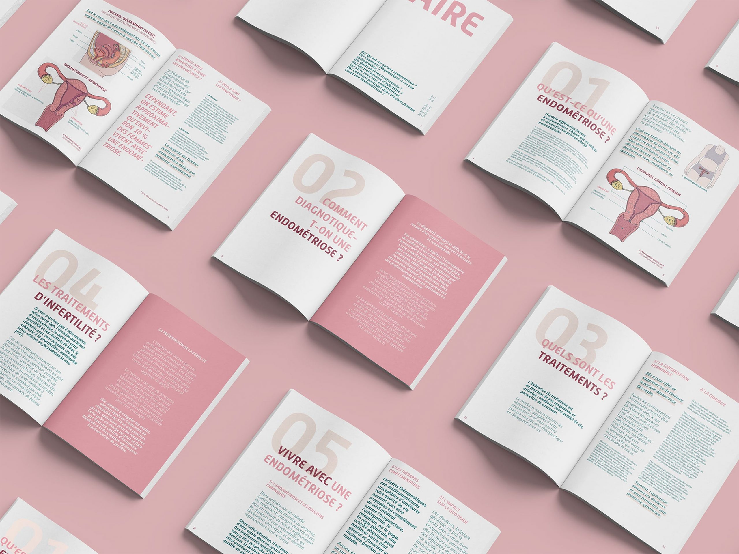 Livret EndoFrance — double page